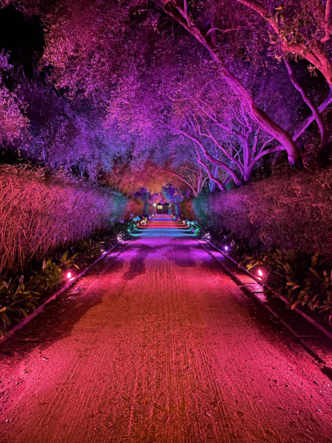 Rainbow driveway